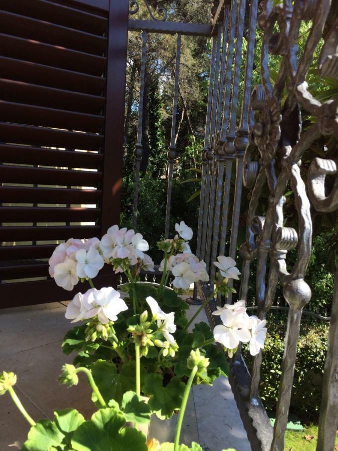 Apartman Wishing Well Zadar